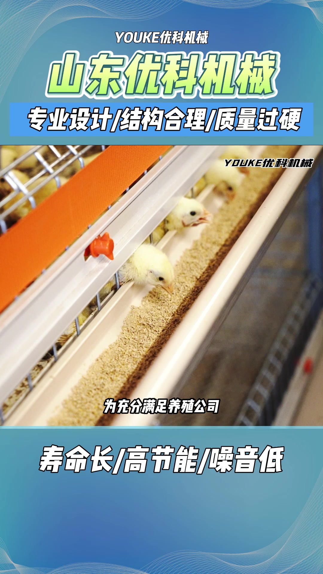 养鸡设备生产厂家 养鸡设备出售 养鸡设备哪家好