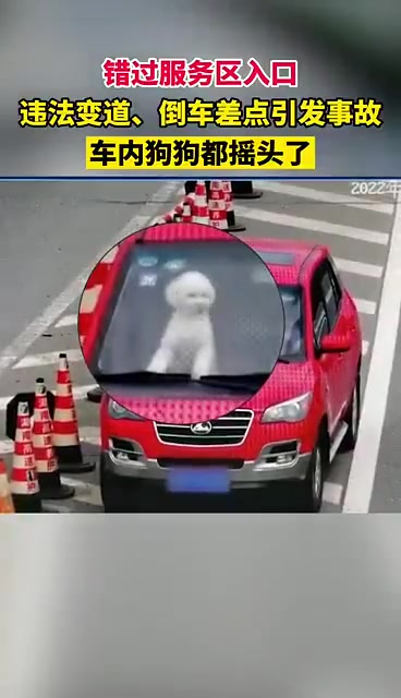【危险!疲劳驾驶隧道内径直撞上故障车】 夏季整治百日行动  7月29日下午两点40左右,丽