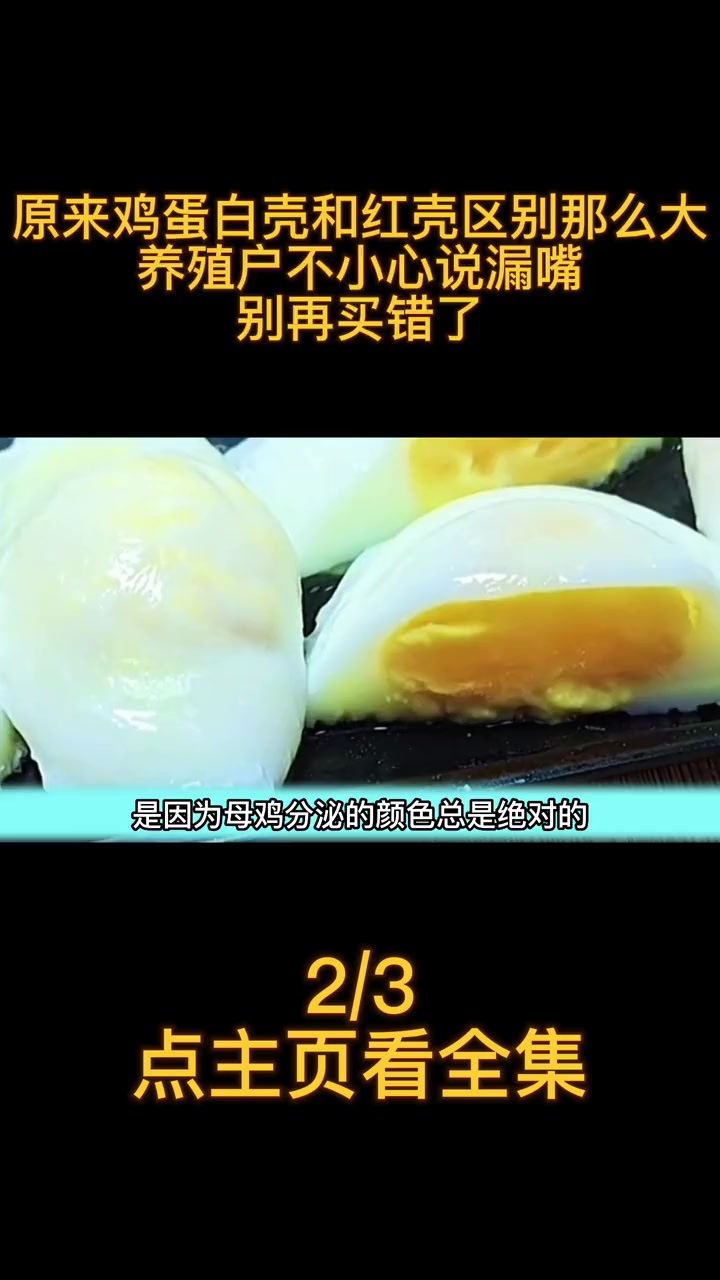 原来鸡蛋白壳和红壳区别那么大