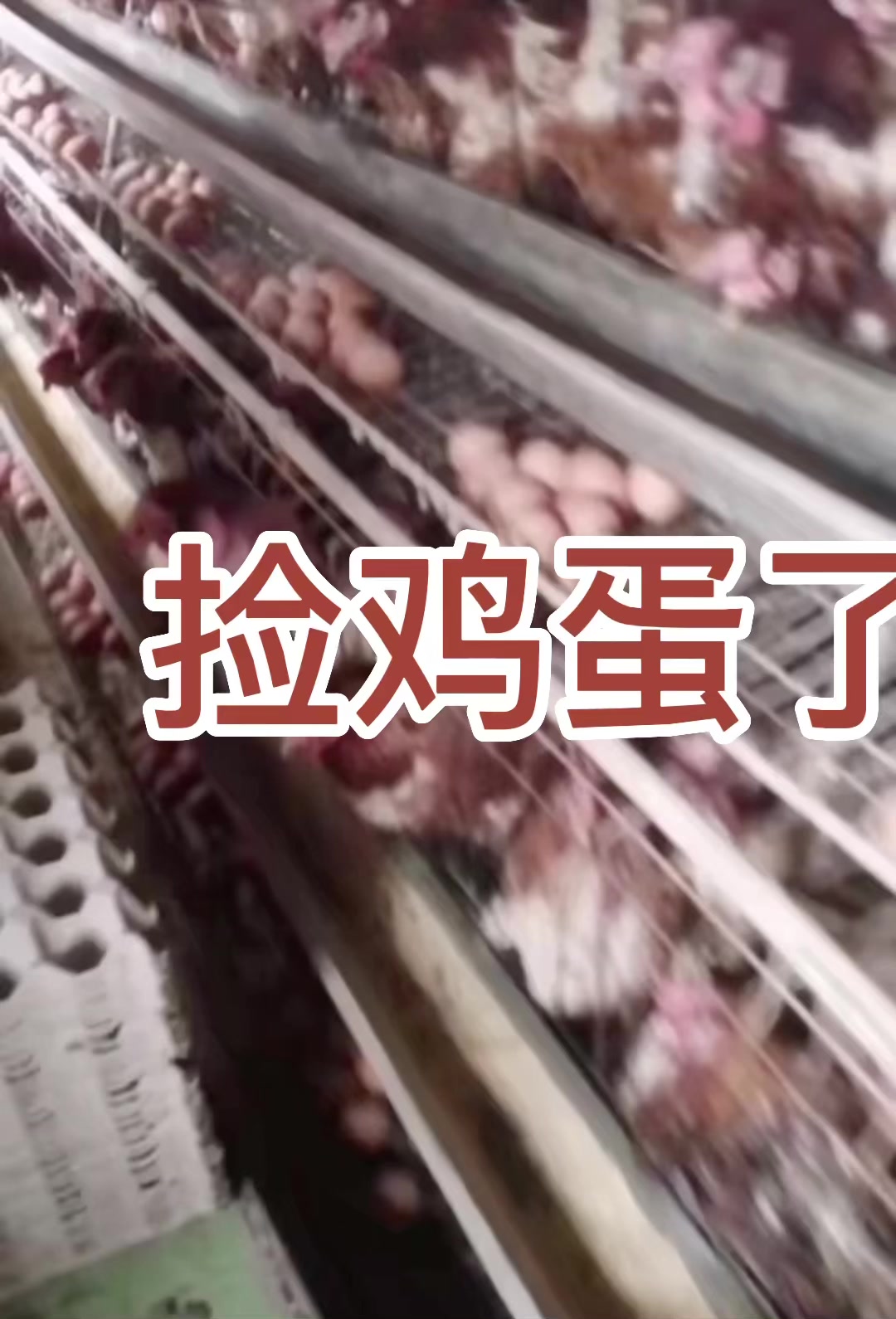 忙忙碌碌又是一整天