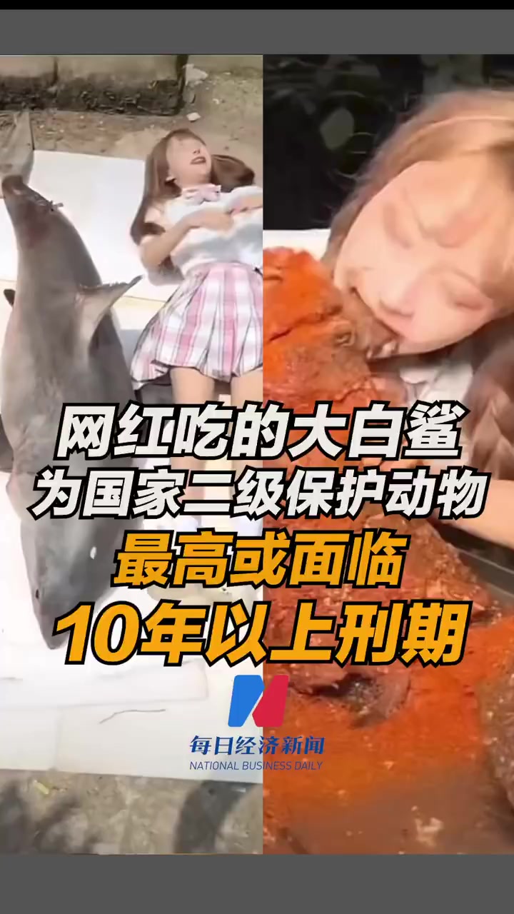 「网红吃大白鲨最高或面临10年以上刑期」近日,网红博主“提子”拍摄烧烤鲨鱼的视频引发关注。