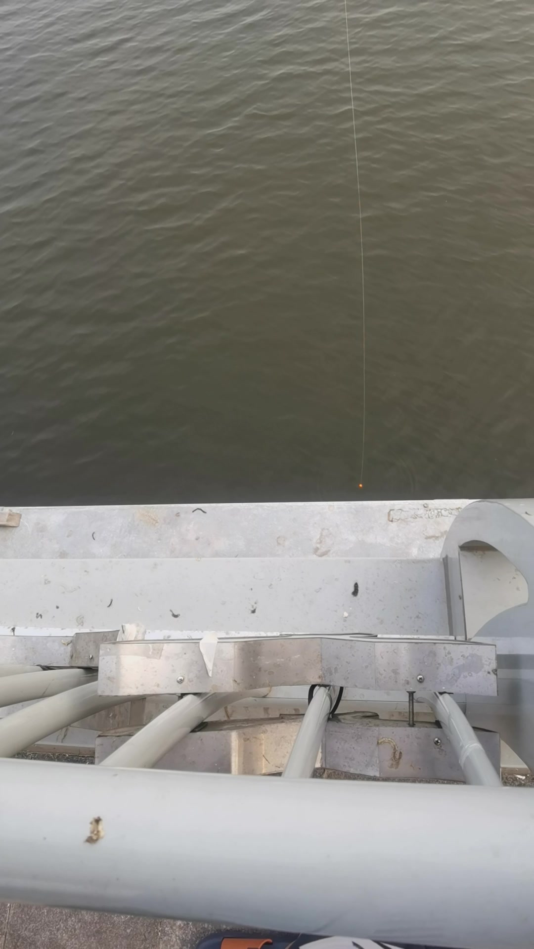 秦皇岛海港区汤河大桥海钓鱼获惨不忍睹