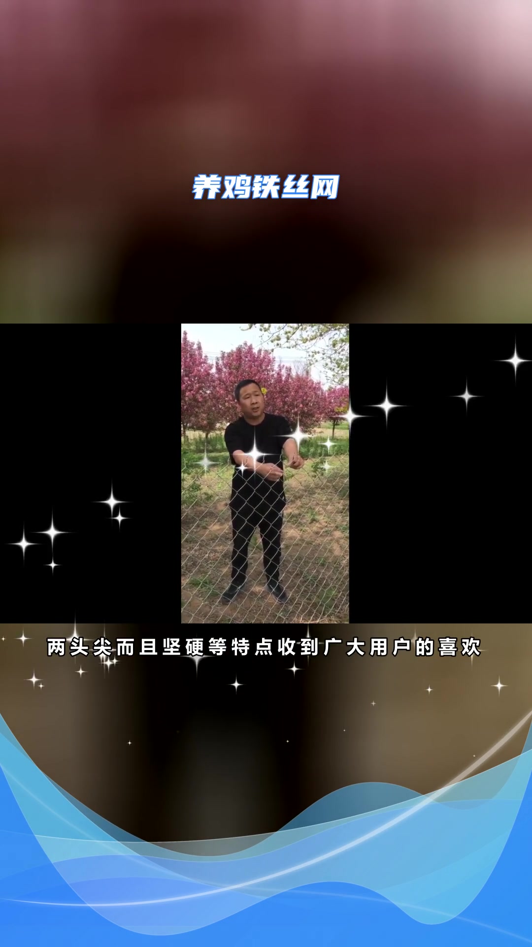 养鸡网防护网