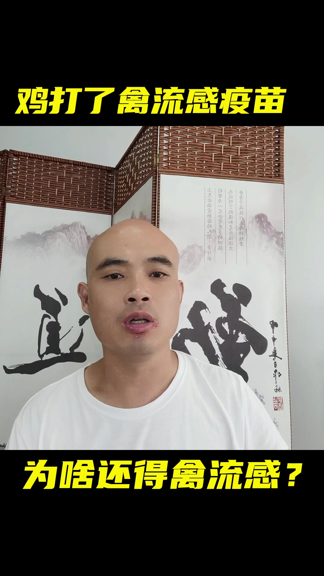 鸡打了禽流感疫苗,为啥还得禽流感?