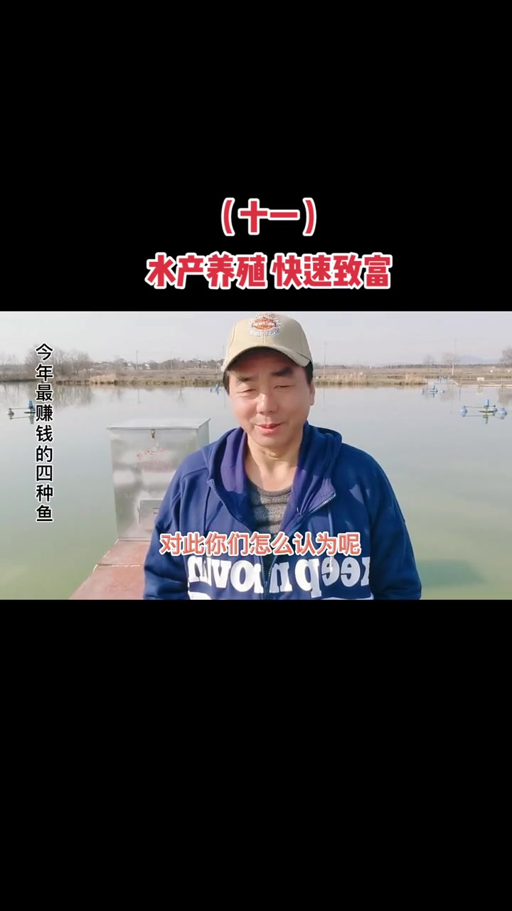 创作灵感今年养殖这四种鱼是最赚钱的水产养殖技术