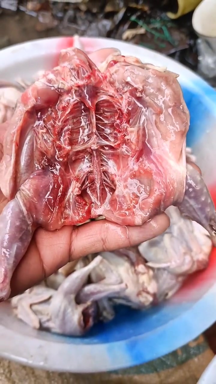 辛苦一年了,遇到咱家鹌鹑蛋和鹌鹑肉或者鹌鹑变蛋就买了吧,好好犒劳一下自己,不然赚钱还有什么