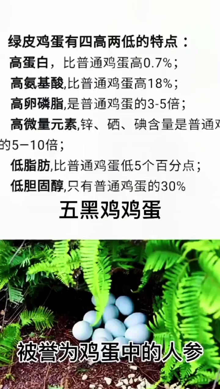五黑鸡鸡蛋需要提前预定,给你们发最新鲜的绿壳鸡蛋 鸡蛋 土鸡蛋 绿壳鸡蛋