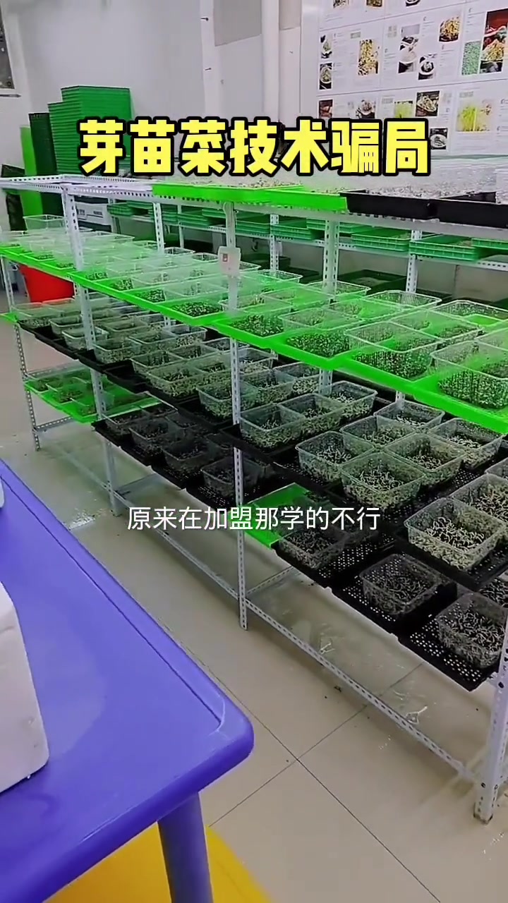 宝芽苗菜选对人做对事,少走弯路