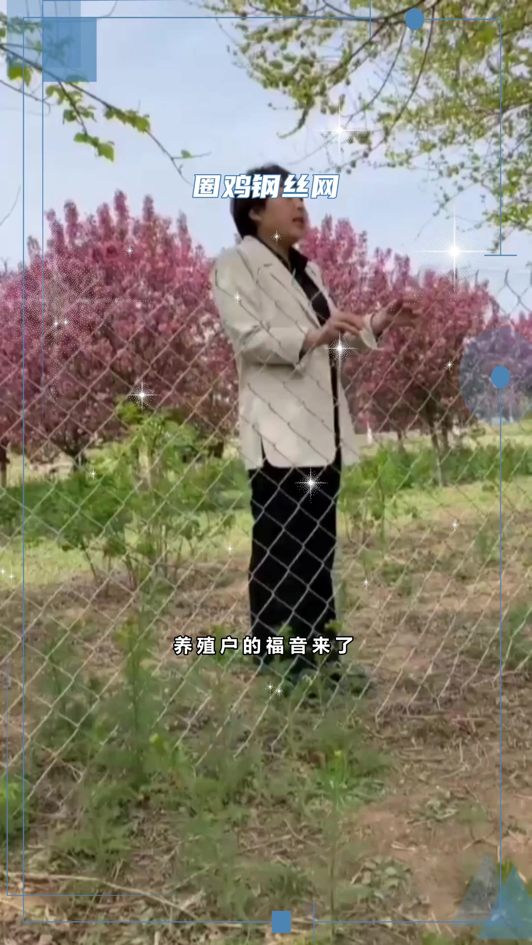 养鸡防护网