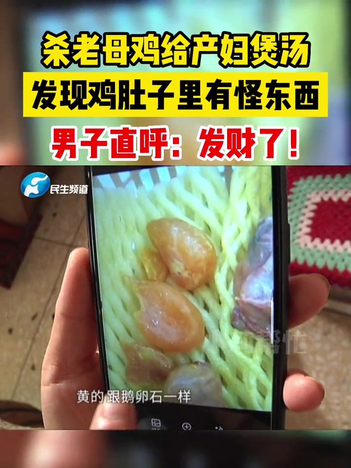 男子为给坐月子媳妇补身体,杀老母鸡时意外发现鸡肚子里,有十多粒类似鹅卵石一样黄黄的东西,在
