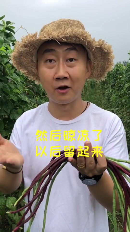 如何挑选豇豆角