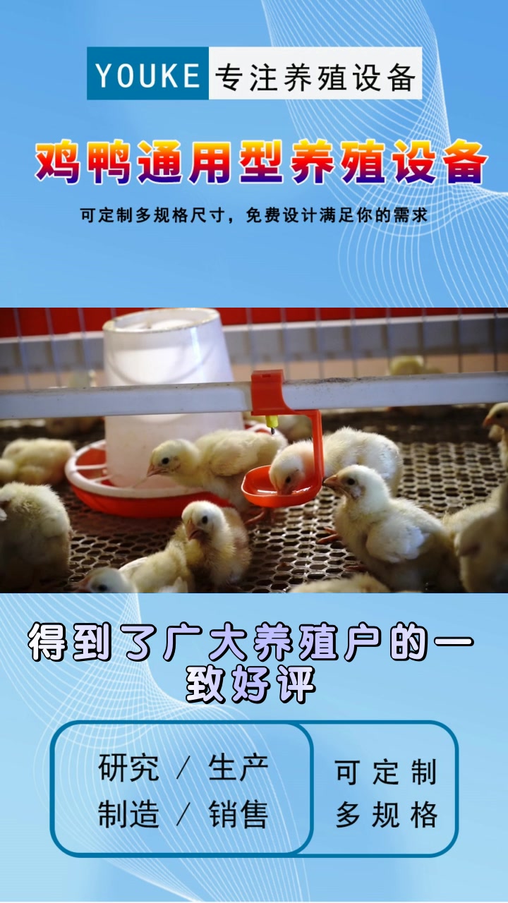 优科机械自动化鸡笼 青海自动化鸡笼供货商 湖南自动加料机哪家好 重庆牛舍风机价格 天津降温