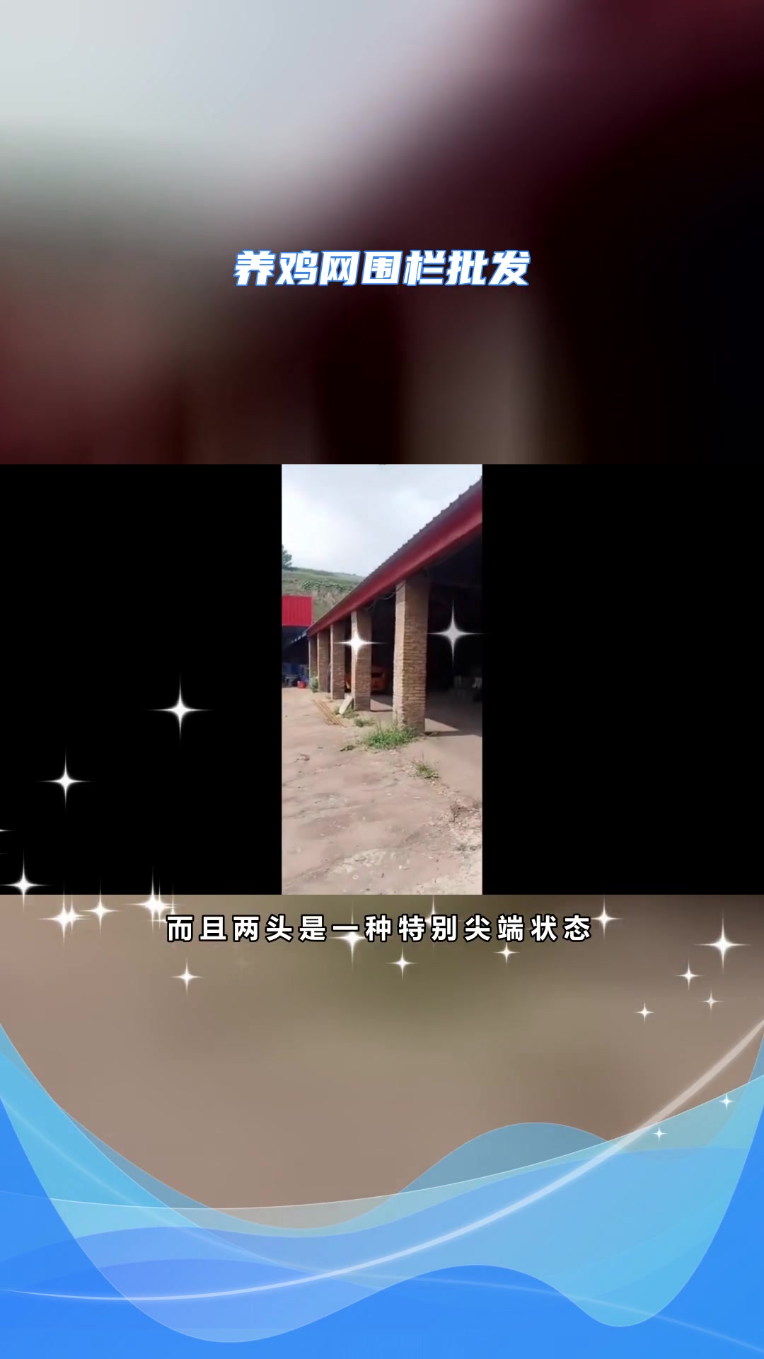 养鸡网防护网