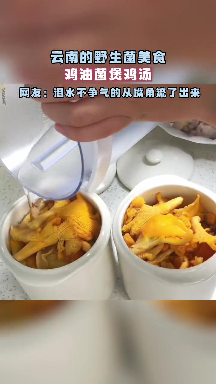 云南的野生菌美食|鸡油菌煲鸡汤 大自然的馈赠 云南美食 野生菌