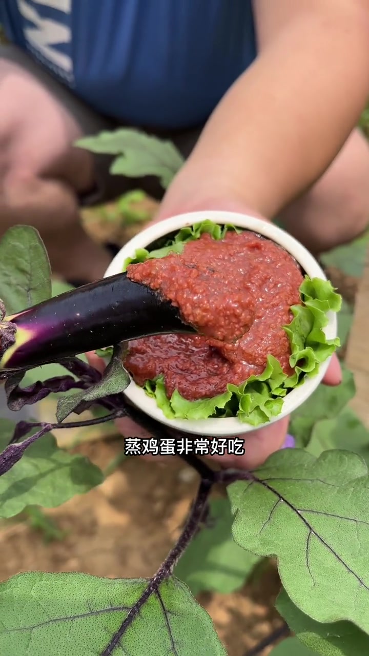 蜢虾酱炒鸡蛋蒸鸡蛋那味道就是香小时候的味道虾酱