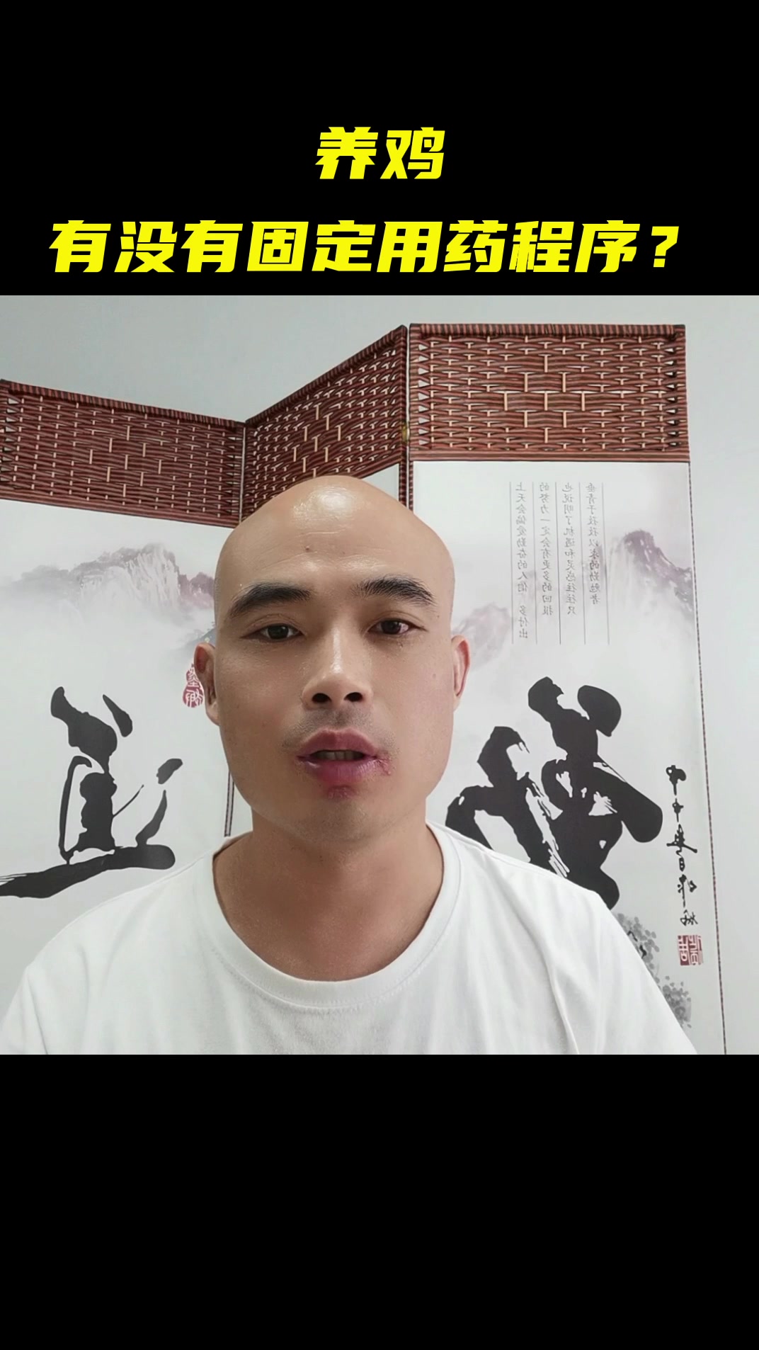 养鸡有没有固定用药程序?