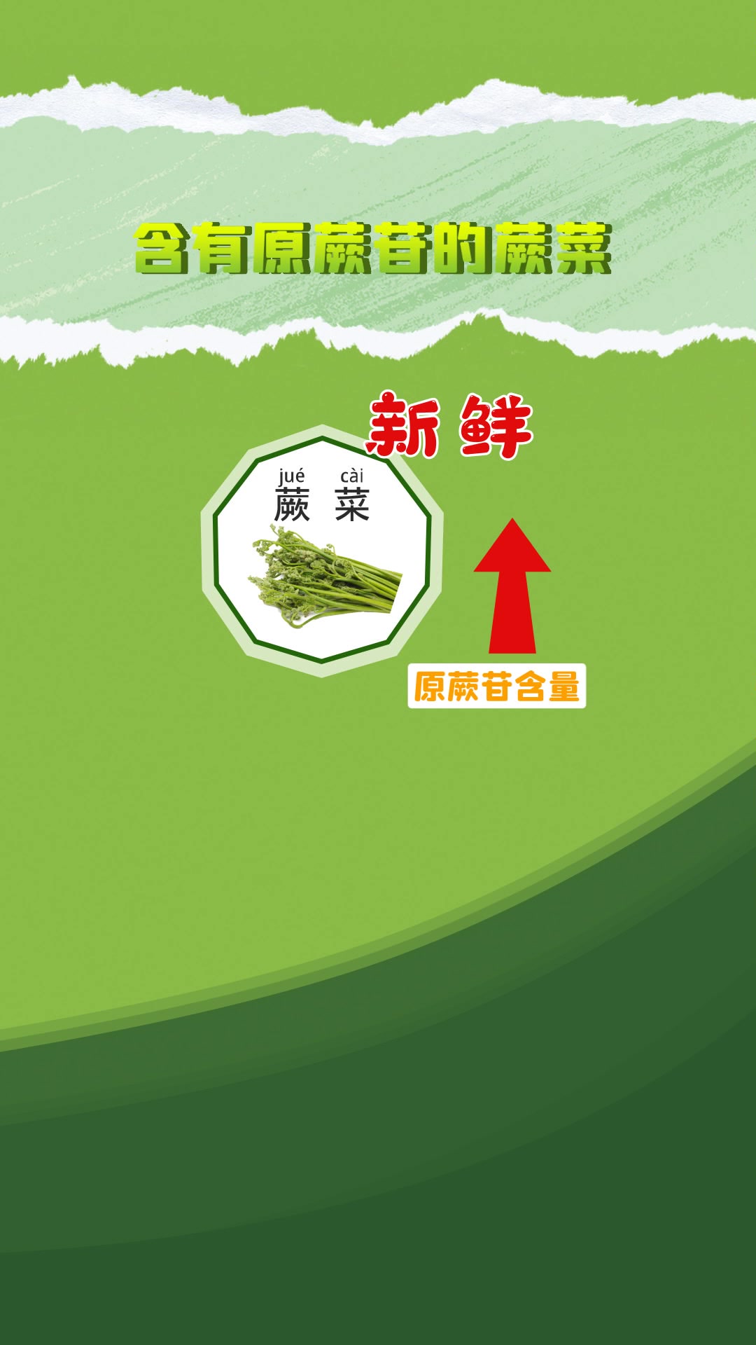 生吃有毒的蔬菜,都有哪些?