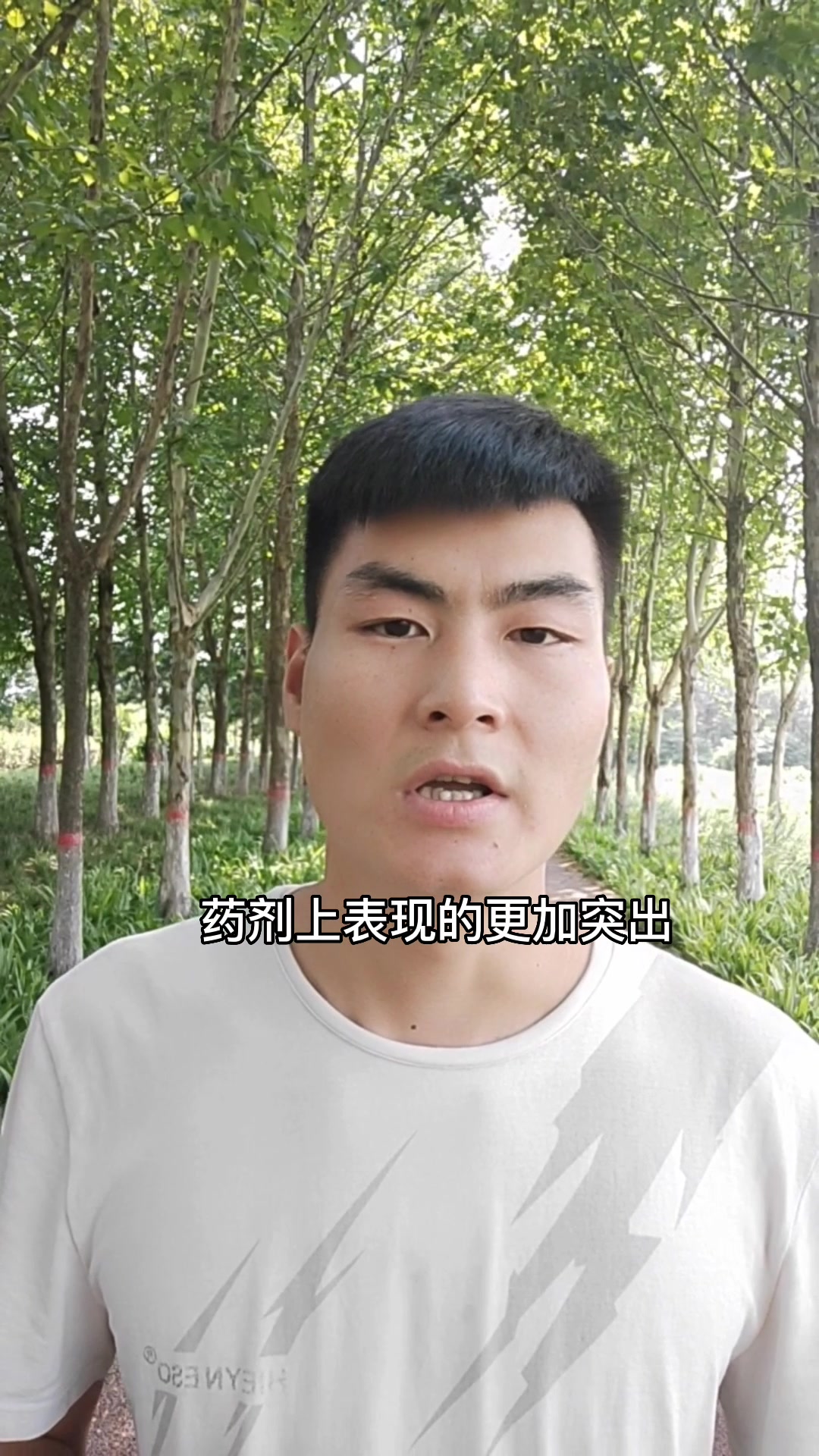 铜制剂作用机理,为什么农药不能与铜制剂混用