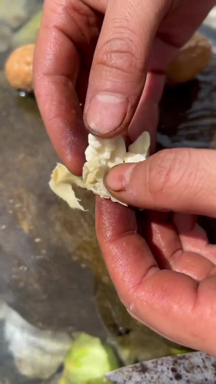 大凉山核桃,有香味、又不腻,吃起来那叫一个鲜