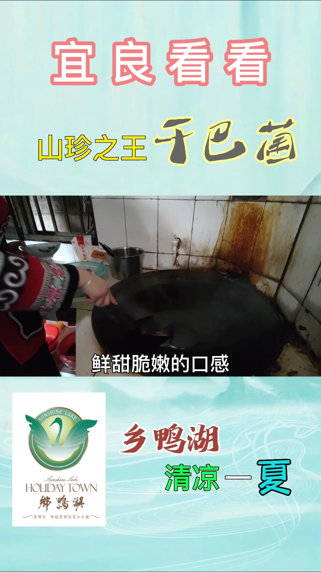 干巴菌是云南的特产野生菌,其形怪异,其味奇香,因稀少而价贵!