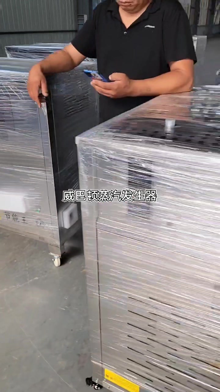 燃气蒸汽发生器200公斤蒸汽发生器300公斤蒸汽发生器