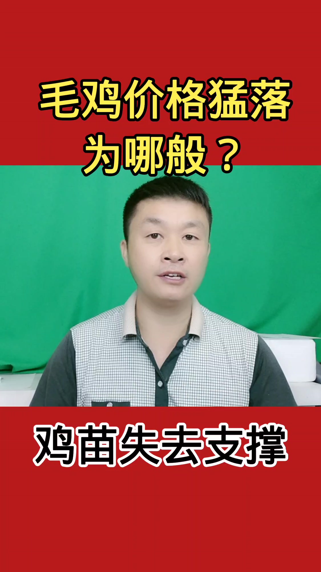 毛鸡价格猛落为哪般?