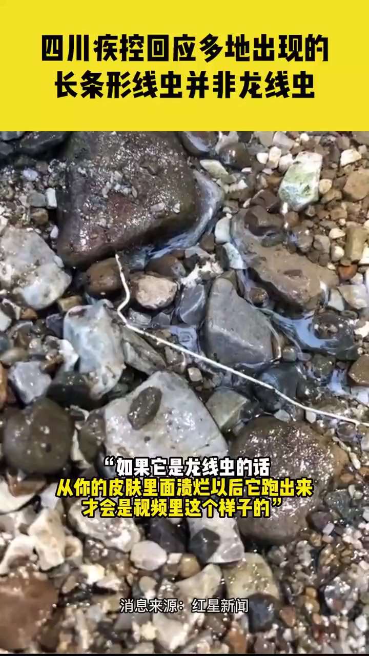 四川省疾控中心回应:多地出现的长条形线虫从流行病学和生物学特征上看,并非龙线虫
