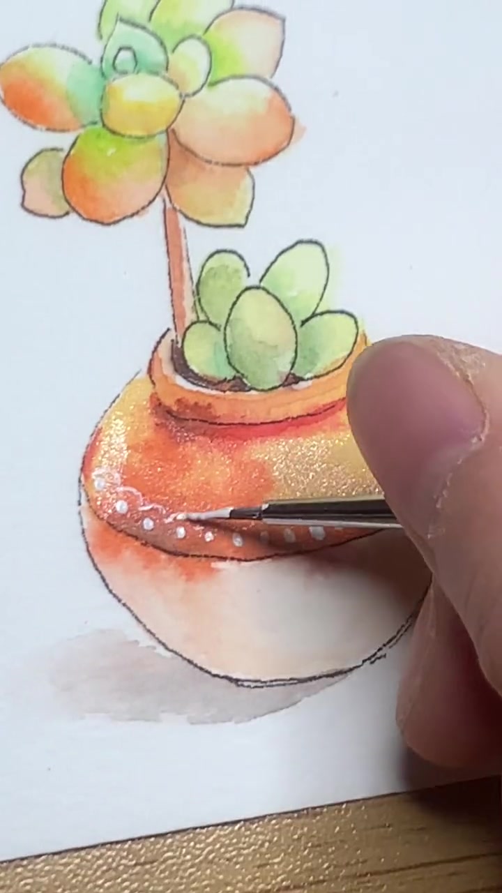 零基础学画画钢笔淡彩你们喜欢养多肉吗?