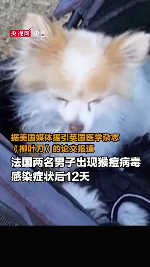 科学家报告首例猴痘病毒“人传动物”病例,呼吁民众减少与宠物非必要的接触