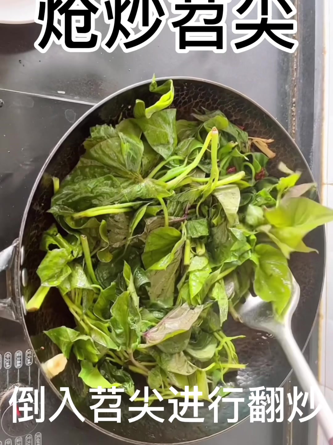 炝炒苕尖炒青菜炒时令蔬菜