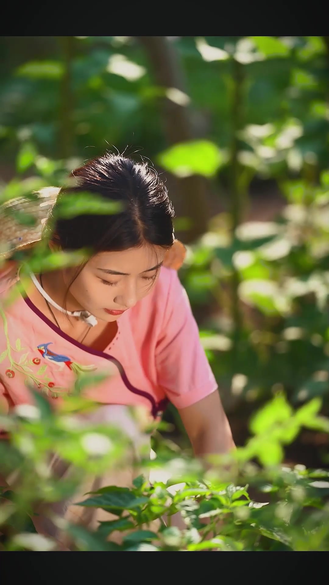 空山新雨后,龙虾水中游。哥哥,看,小龙虾