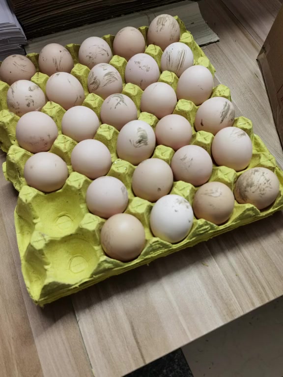 今天开始换包装箱了,农村散养土鸡蛋