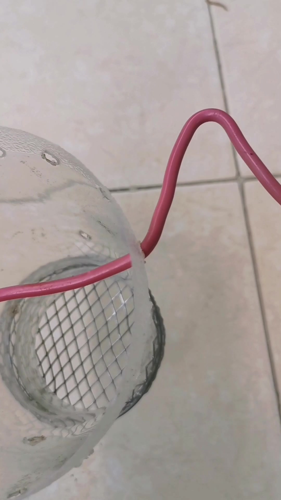 自制孔雀鱼产房,经济实用,值得一试