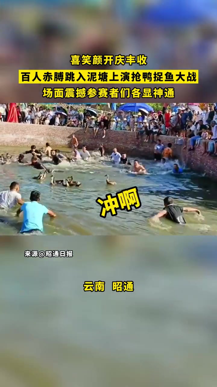 喜笑颜开庆丰收,百人赤膊跳入泥塘上演抢鸭捉鱼大战,场面震撼各显神通来源 丰收的季节硕果累累