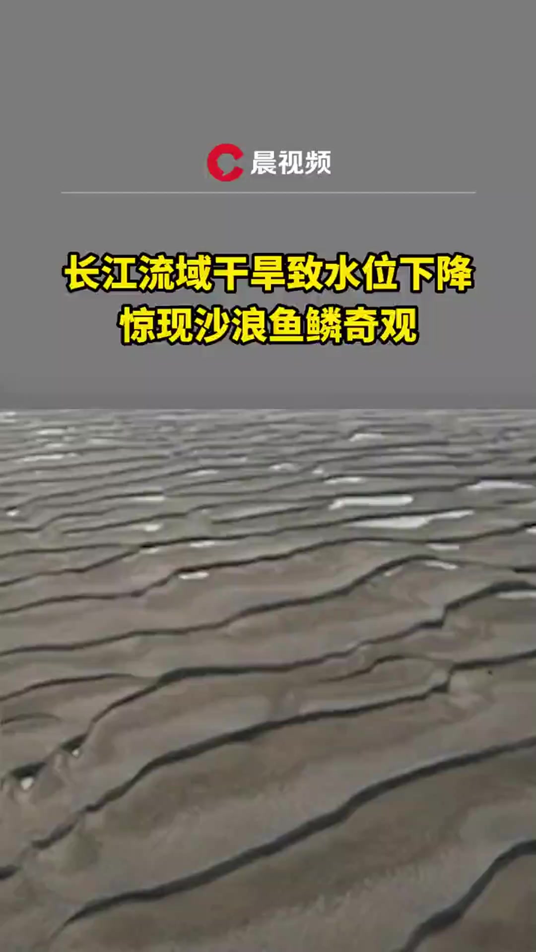 长江流域干旱致水位下降,惊现沙浪鱼鳞奇观