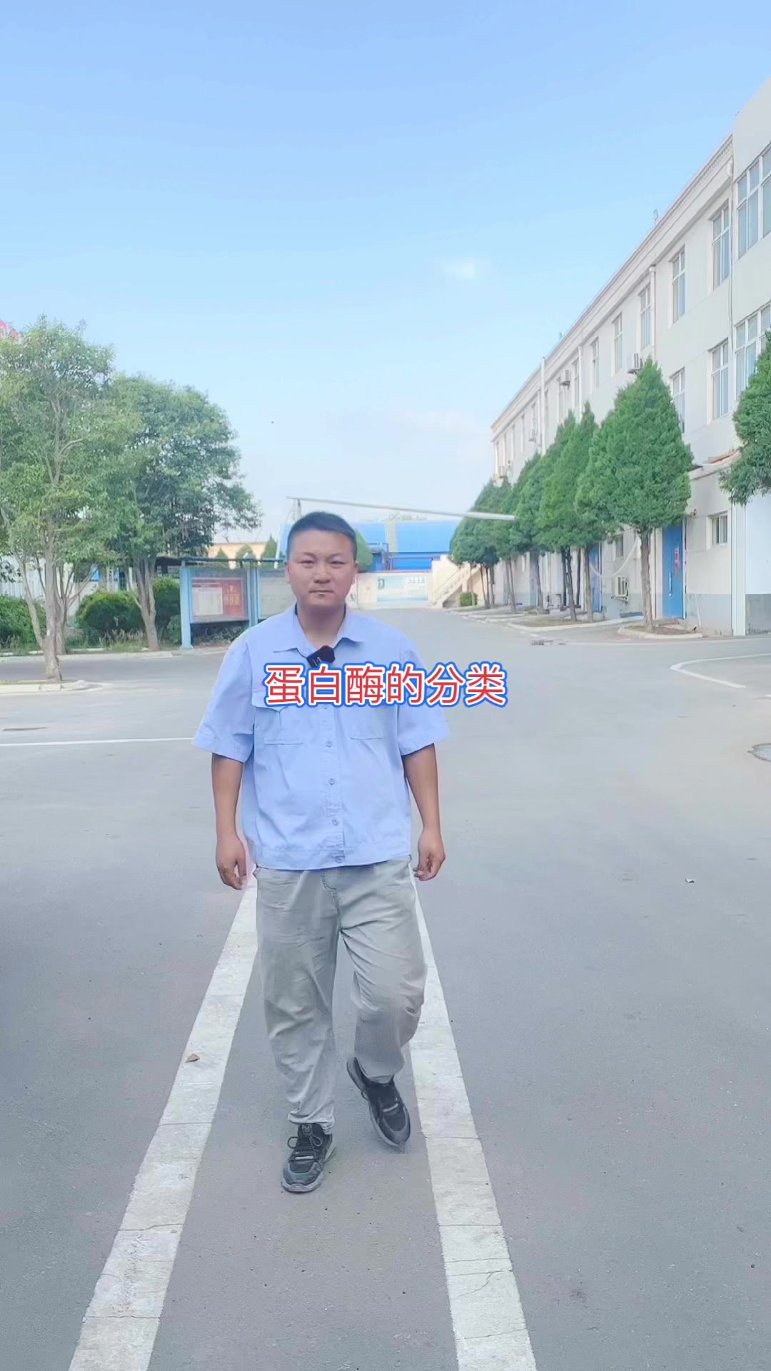 蛋白酶是怎么分类的?