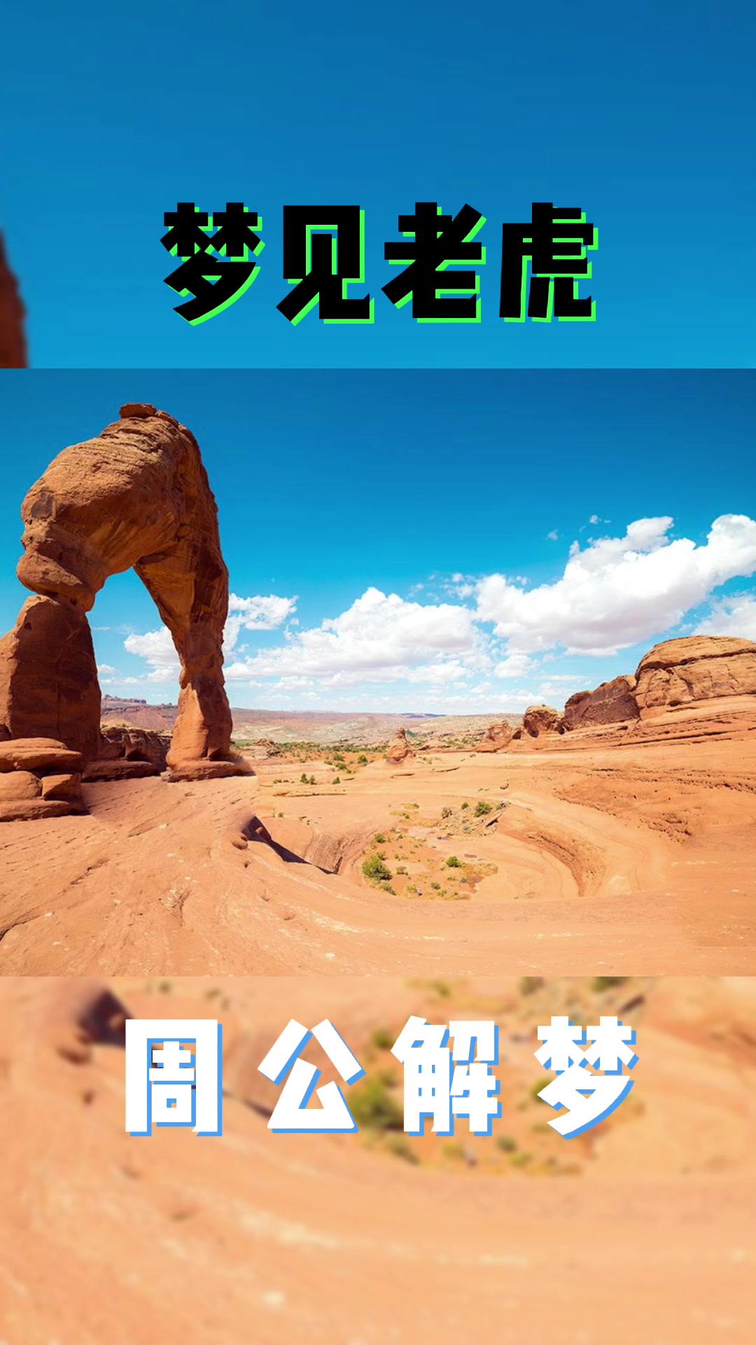 梦见老虎的要注意了