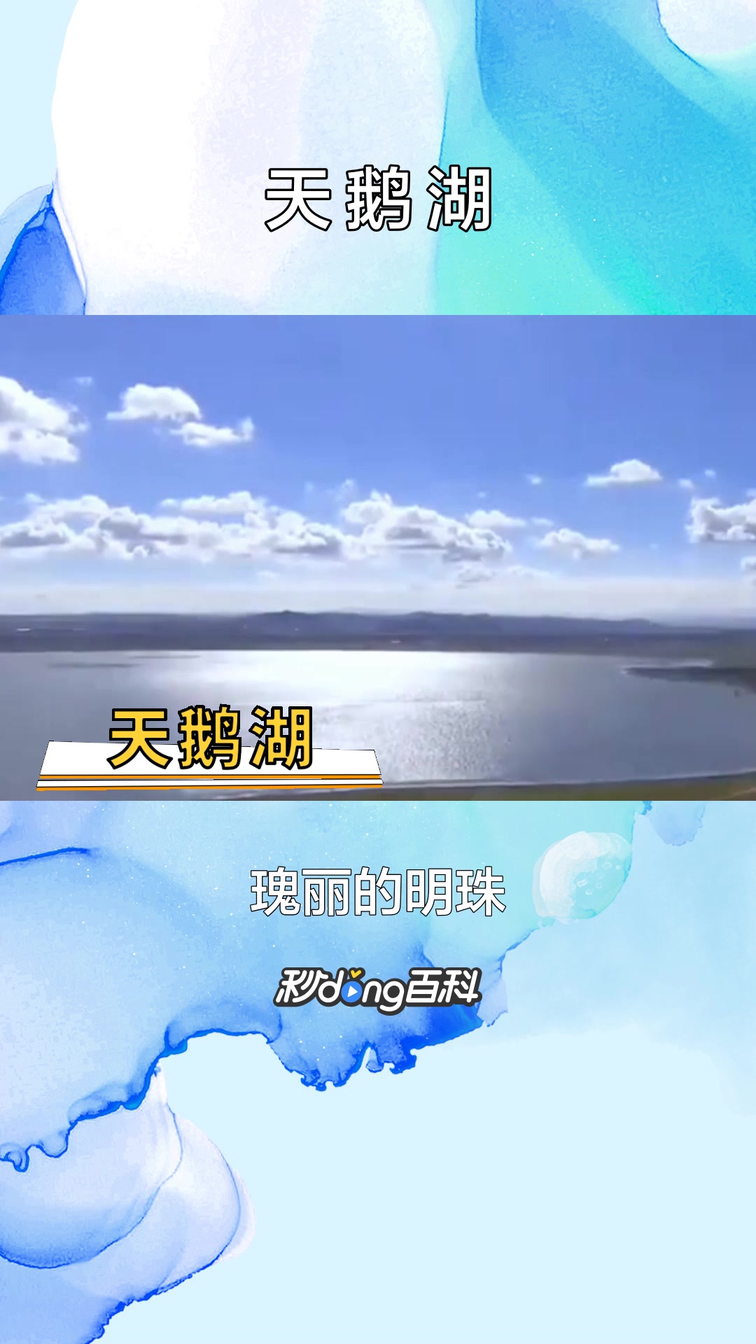一分钟了解景点天鹅湖