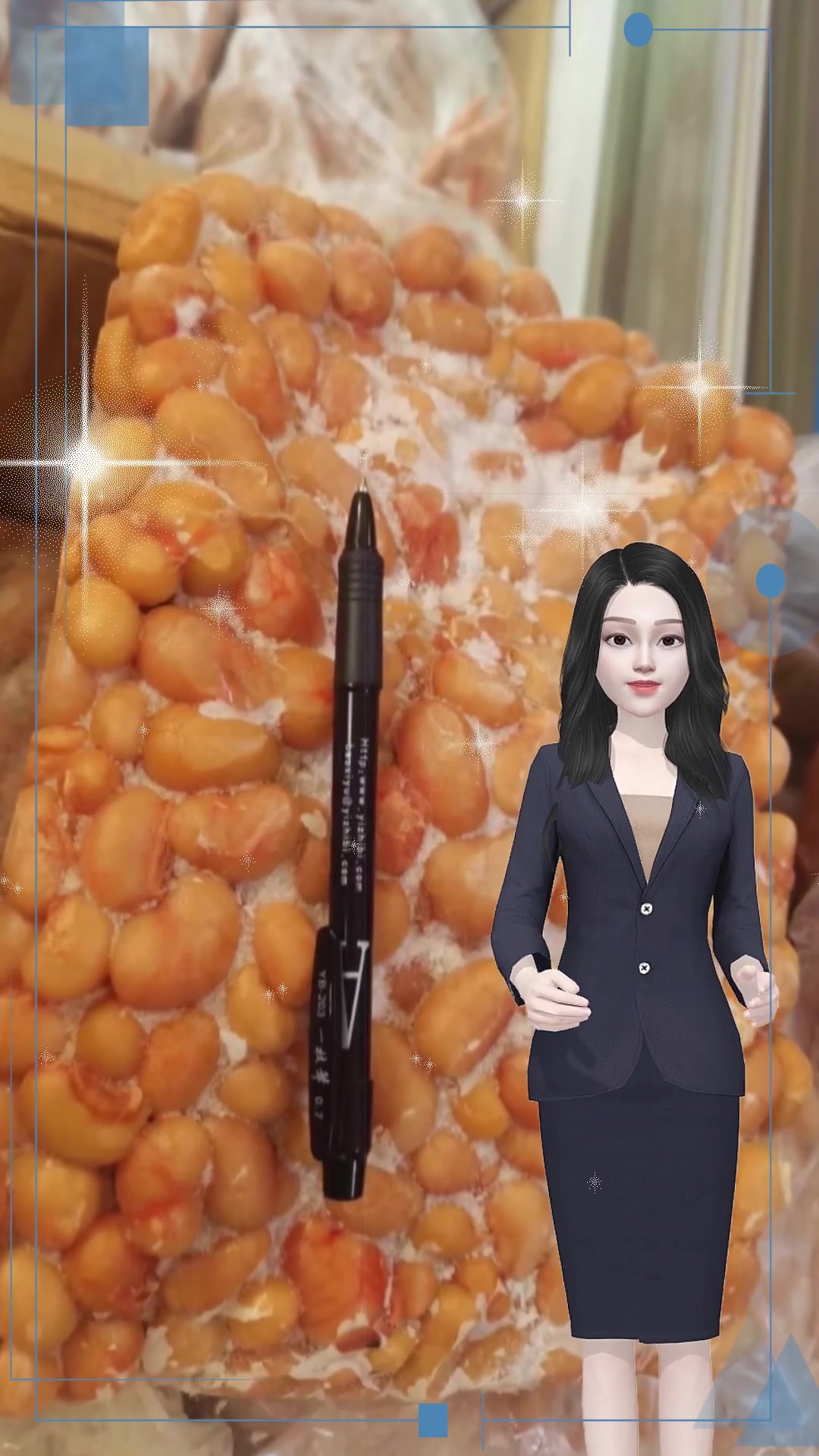 老鹅、仔鹅、白条鹅