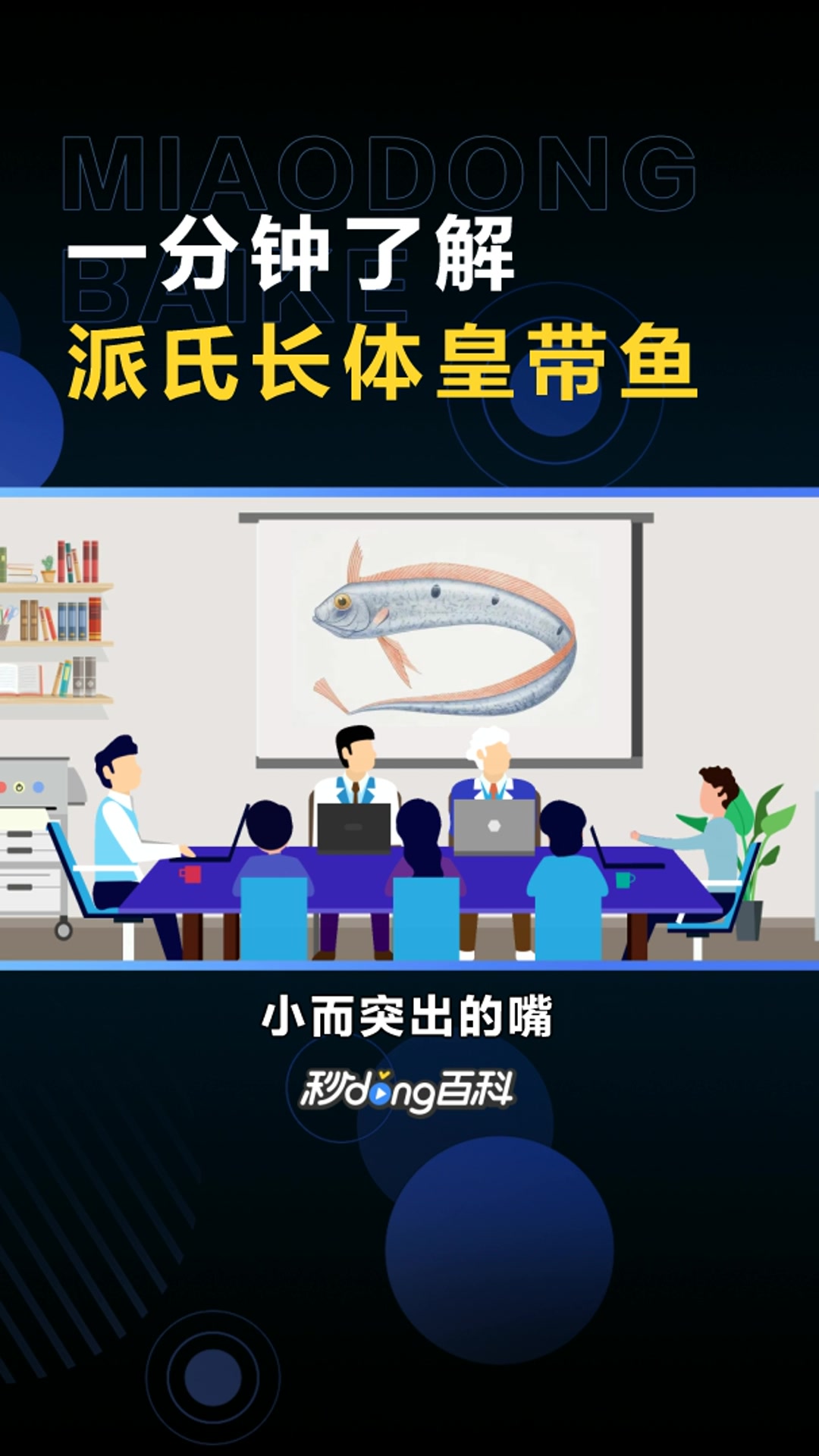 派氏长体皇带鱼:皇带鱼科长体皇带鱼属动物