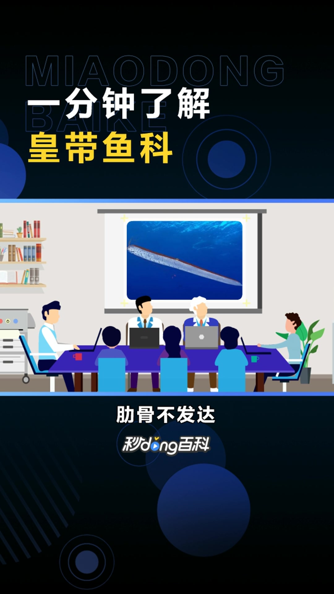 皇带鱼科:脊索动物门的一科鱼类