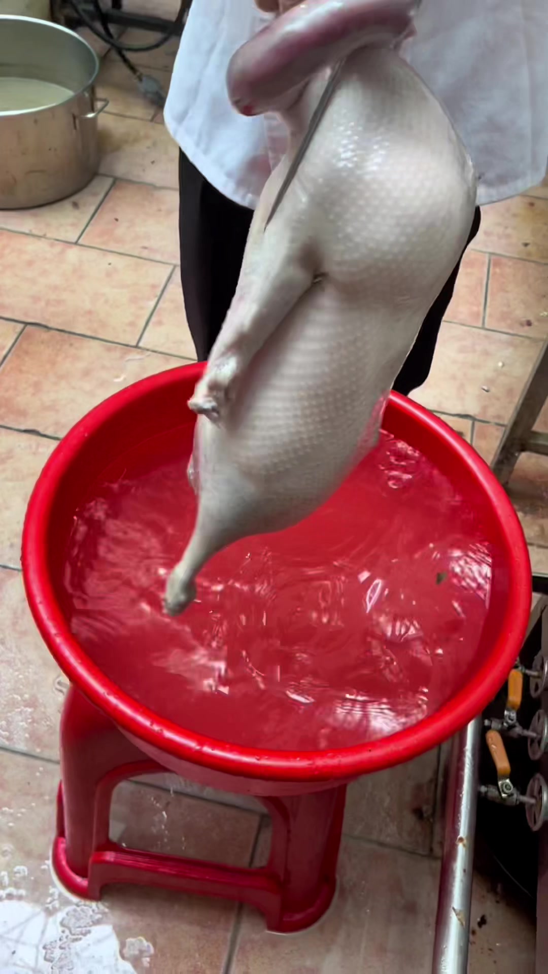 烤鹅技术分享,真实,实在