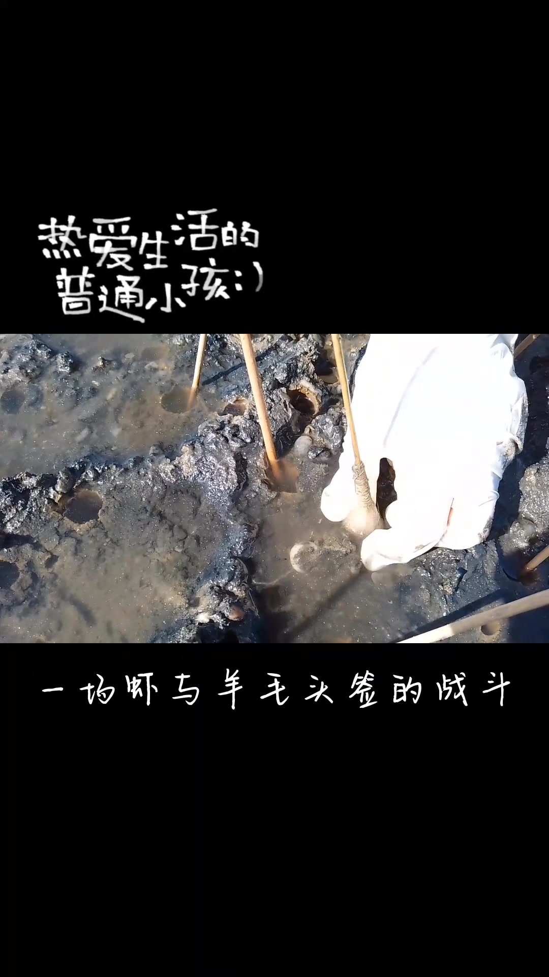 长海县赶海,钓卢沟虾