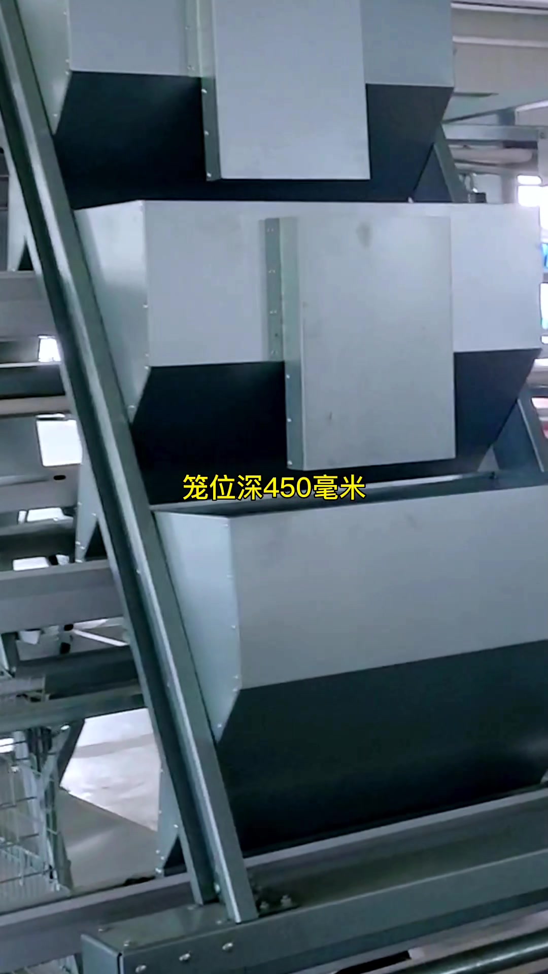 可饲养16800只蛋鸡的阶梯式蛋鸡笼