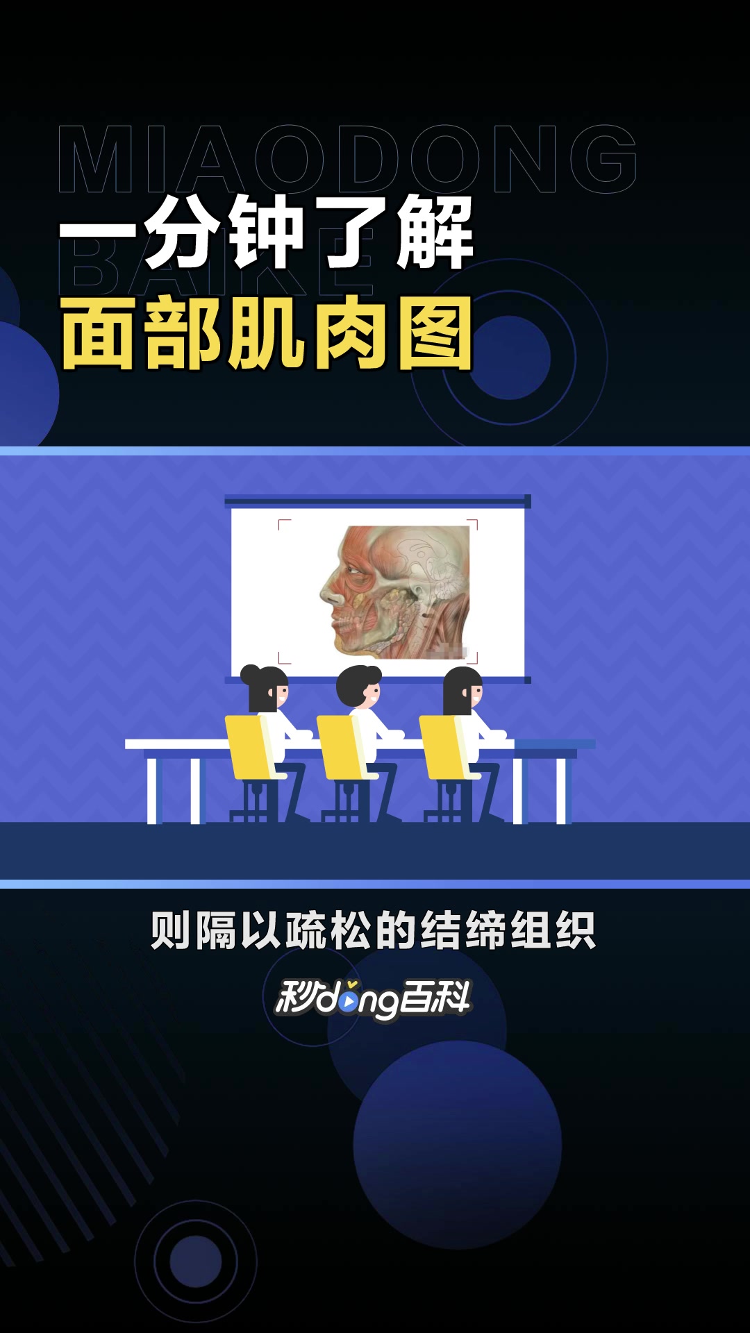 面部肌肉图:人体面部肌肉的位置浅表