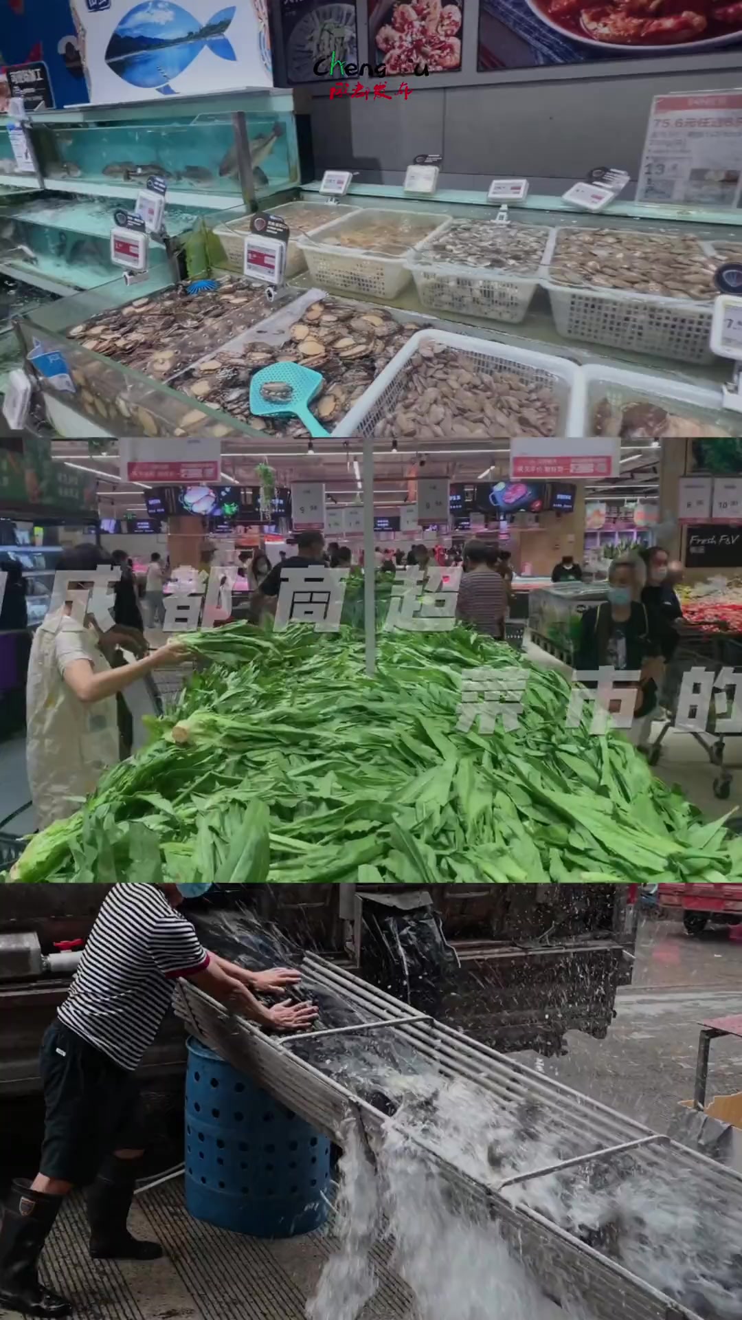 不用囤!管够!实拍成都商超菜市的一天 成都 商超 菜市 买菜