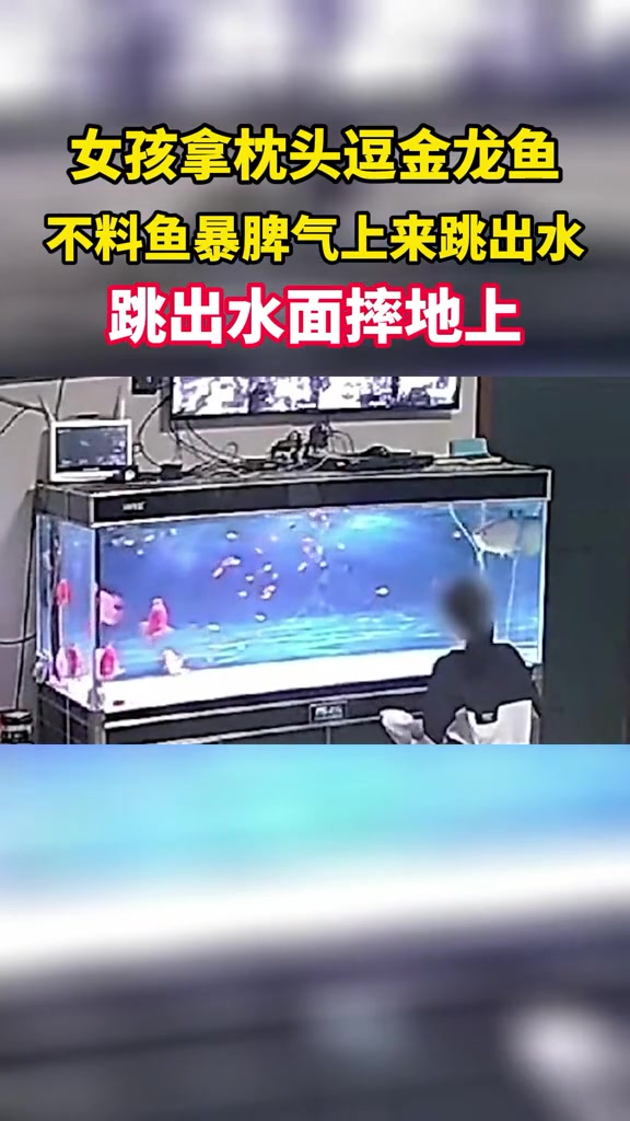 女孩拿枕头逗金龙鱼,不料鱼暴脾气上来跳出水,跳出水面摔地上