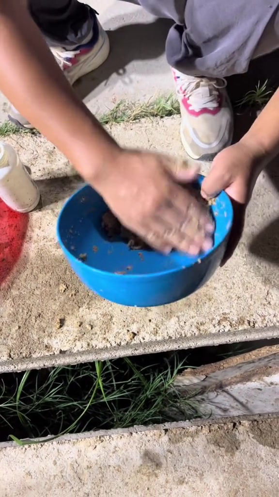 散炮开拉饵教程。钓鱼技巧 钓鱼的技巧教程 钓鱼教学