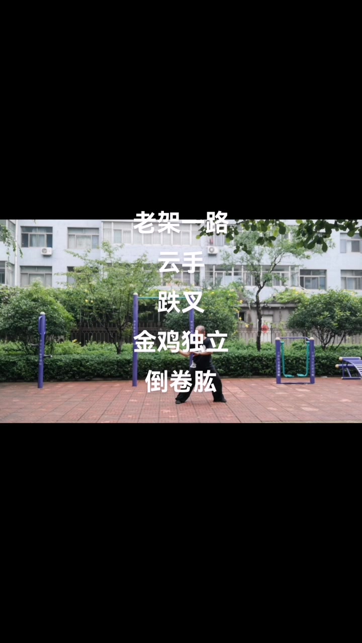 陈氏太极拳老架一路13