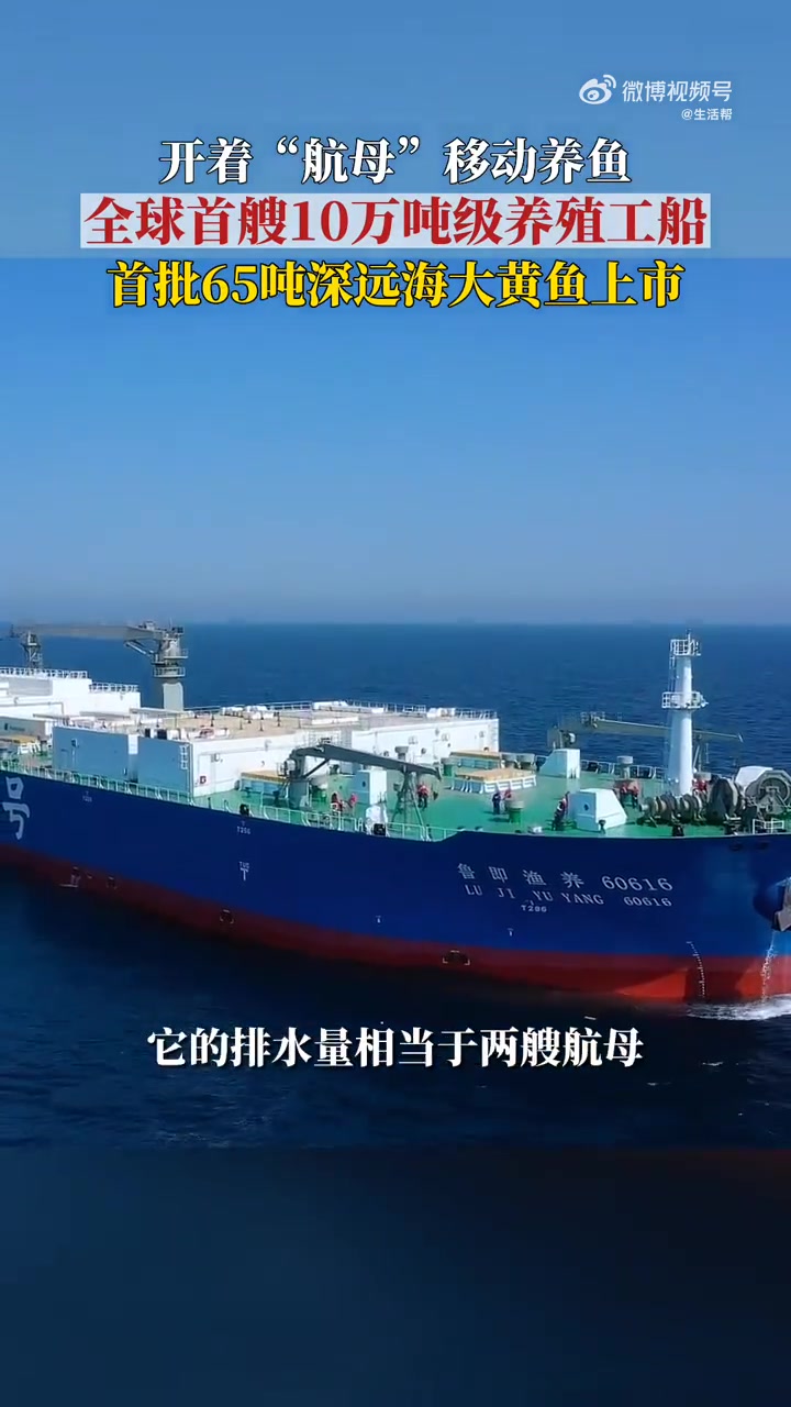 「全球首款!没想到大黄鱼也在坐船旅游」9月1日下午,在深海游弋式牧养的大黄鱼开始捕捞!长在